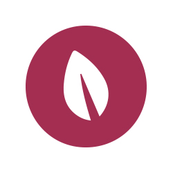 Eco-Friendly Corporate Gifts